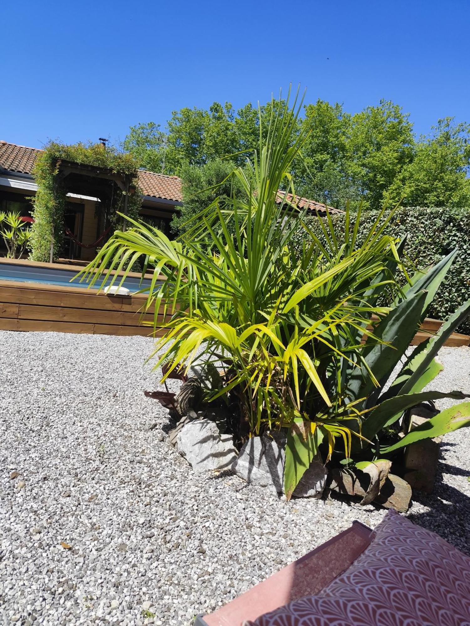 Maison Balaguera Saint-Jean-de-Marsacq Luaran gambar